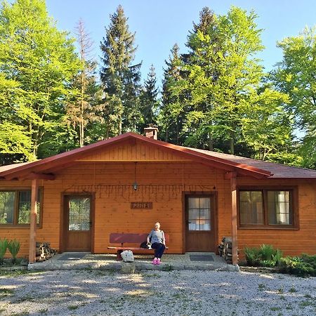 Dom Lidia Villa Szklarska Poreba Bagian luar foto