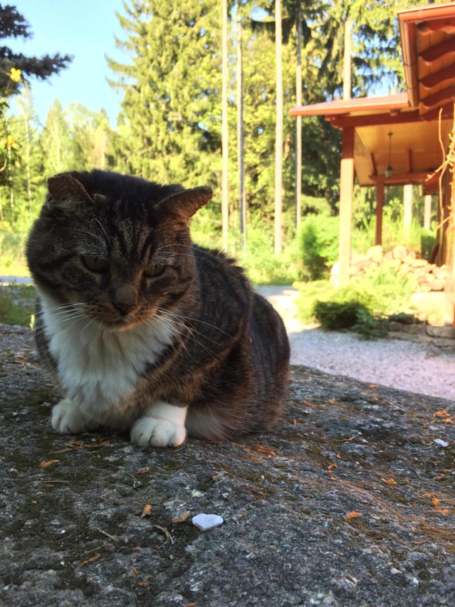 Dom Lidia Villa Szklarska Poreba Ruang foto