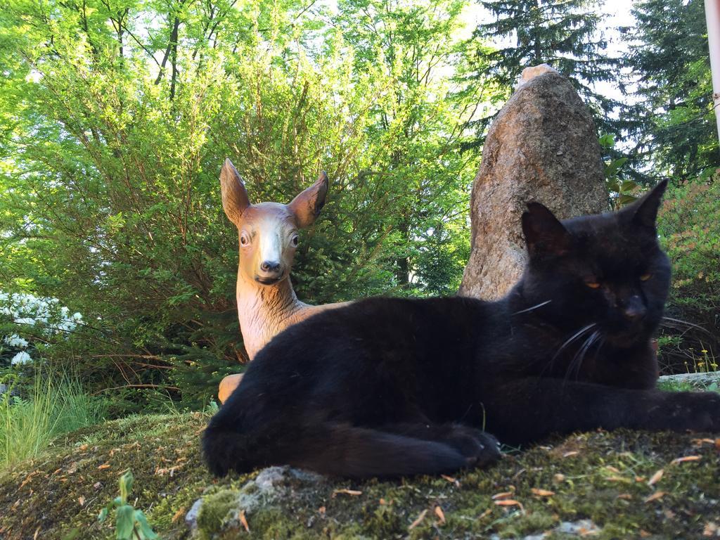 Dom Lidia Villa Szklarska Poreba Bagian luar foto