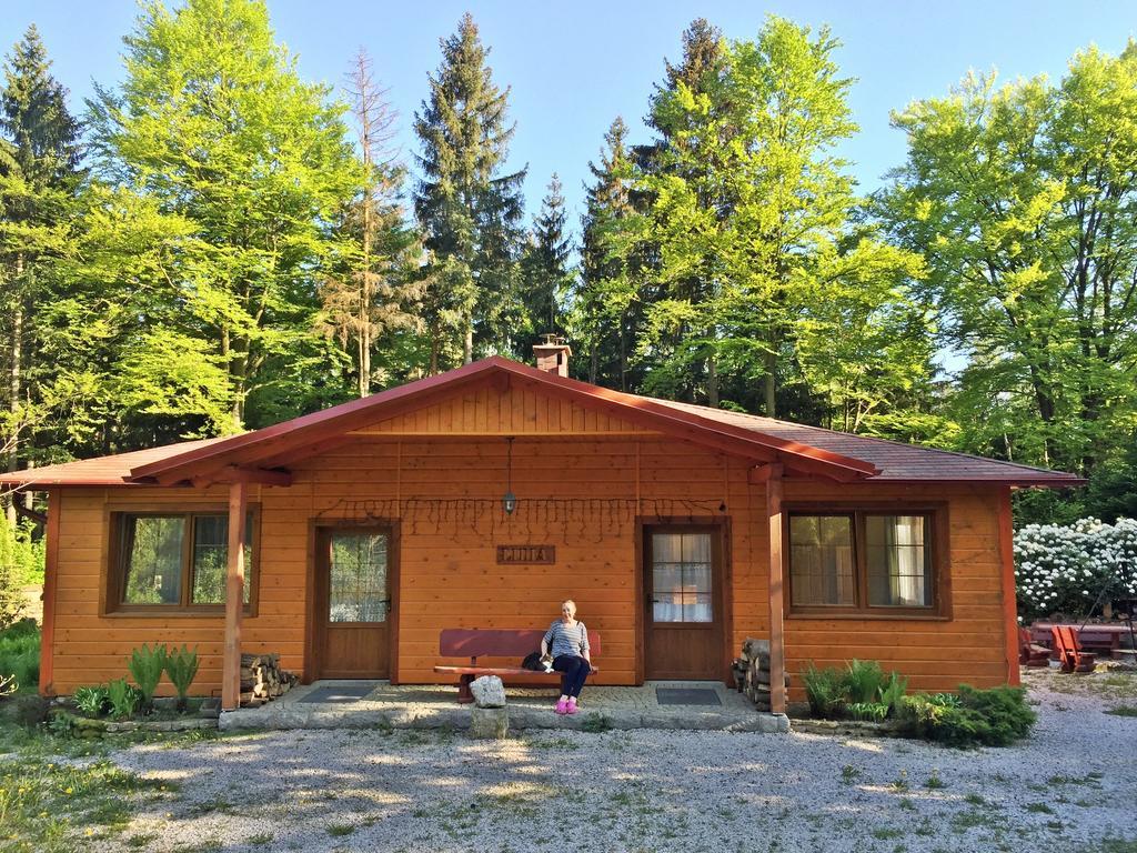 Dom Lidia Villa Szklarska Poreba Bagian luar foto